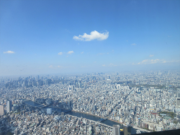 地上４５０メートルからの景色。東京が一望できます。